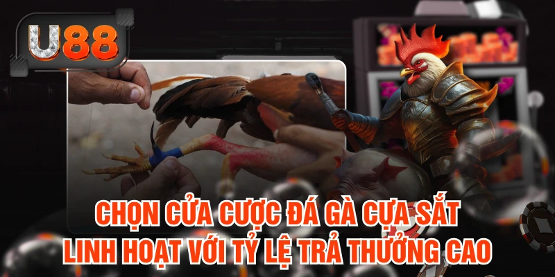 Chọn cửa cược đá gà Cựa Sắt linh hoạt với tỷ lệ trả thưởng cao